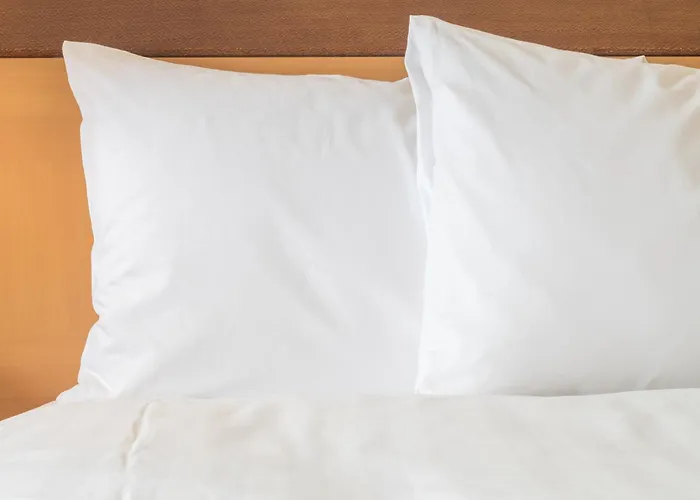 Hotels near Mansfield Beauty Schools