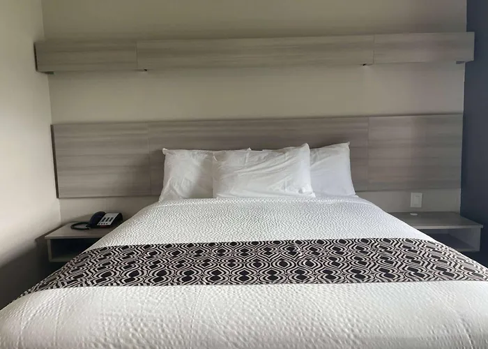 Hotels near Thrifty Discount Liquor and Wine