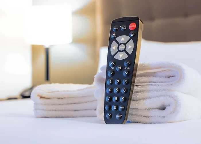 Hotels near Arts and Treasures
