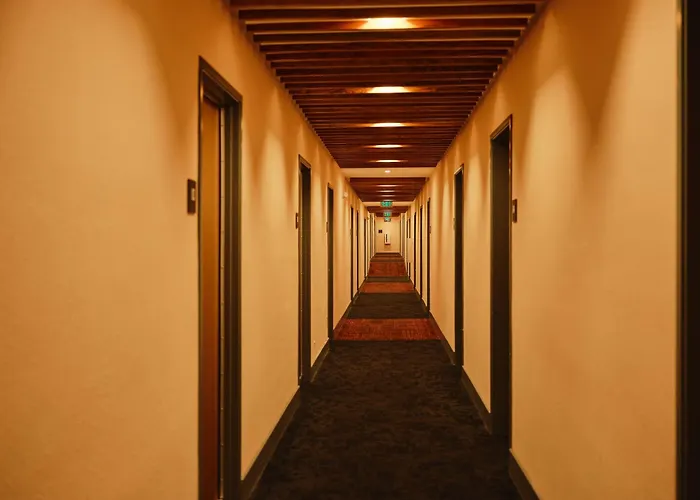 Hotels near N C Museum of Natural Sciences
