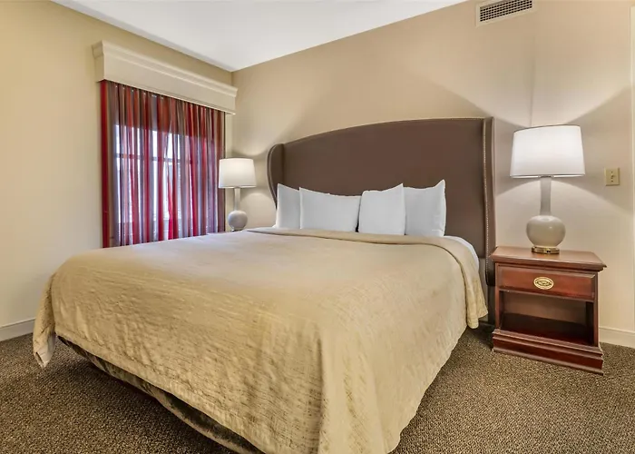 Hotels near NO Name Exhibitions