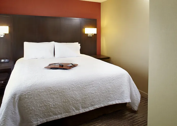 Hotels near Los Olivos Park
