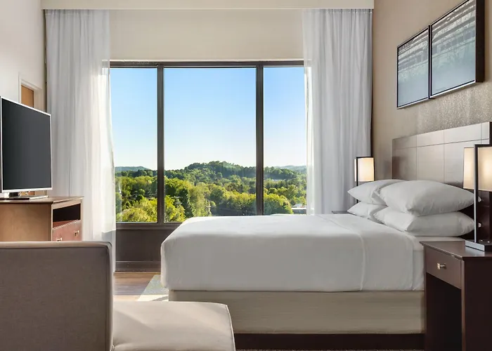 Hotels near Planet Kidz Family Fun Ctr