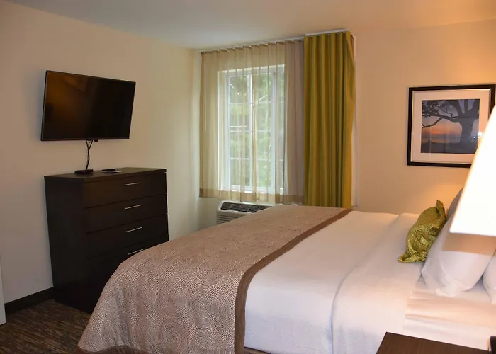 Hotels near Moonroad Gameroom