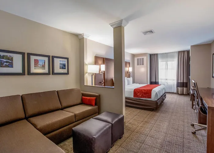 Hotels near Village Park